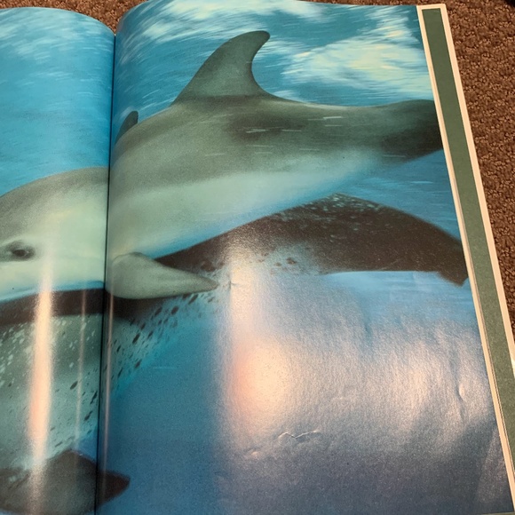 Whales & Dolphins Book (3 for $20) - Picture 4 of 8